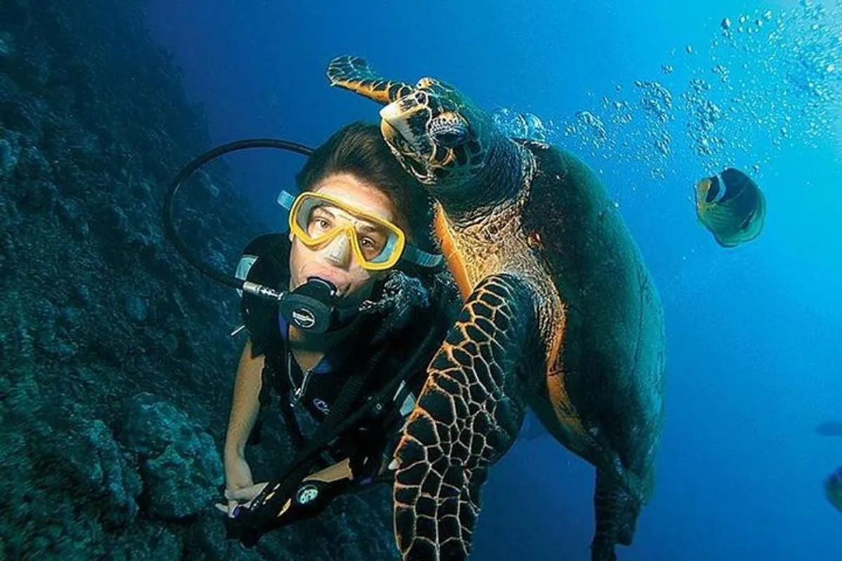 Image 1 of 3-Day PADI Open Water Diving Course in Dubai