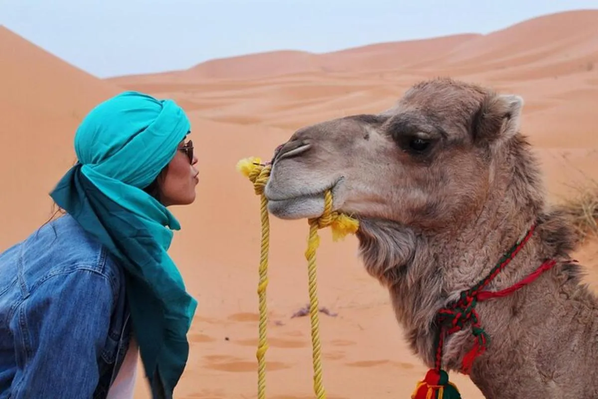 Image 3 of 4×4 Desert Safari Abu Dhabi with BBQ Dinner