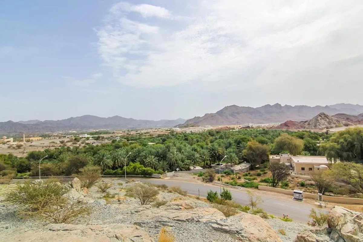 Image 3 of 4×4 Hatta Safari to Fossil Rock & Honey Bee Garden visit with Breakfast