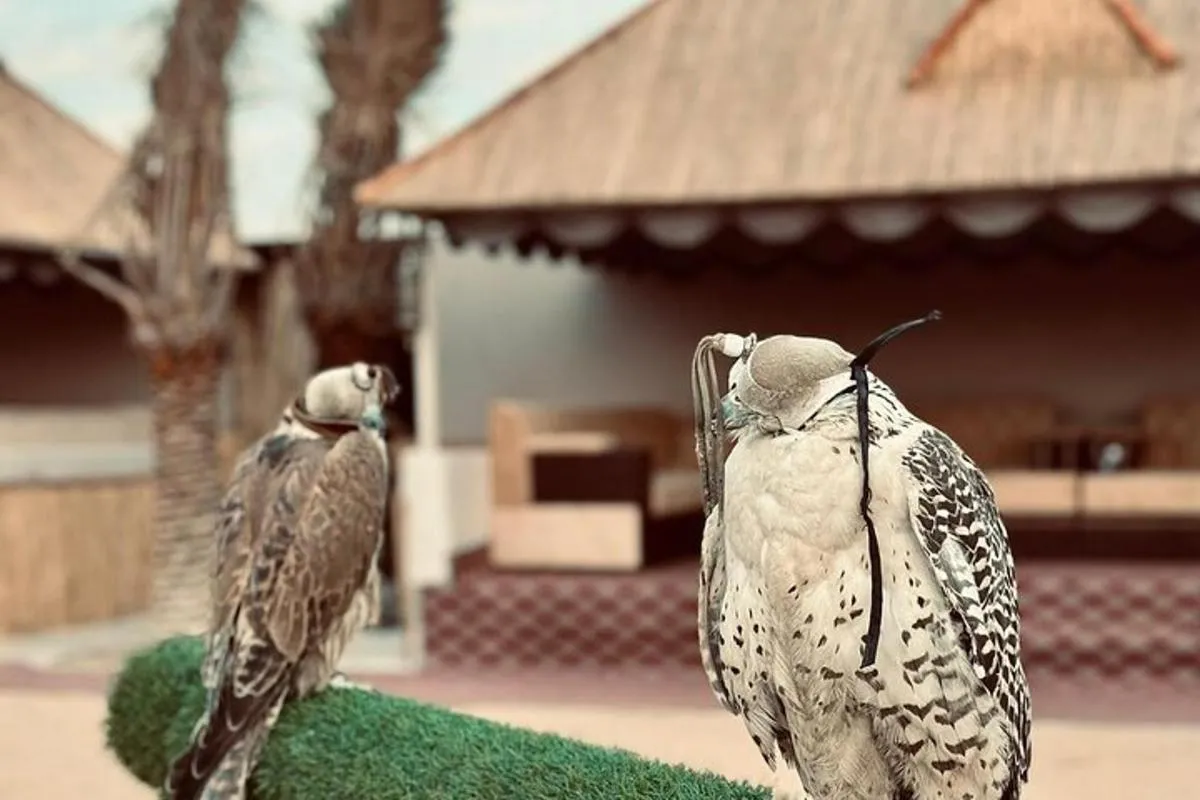 Image 1 of Abu Dhabi: 7-Hours Desert Safari with BBQ, Camel Ride & Sandboarding