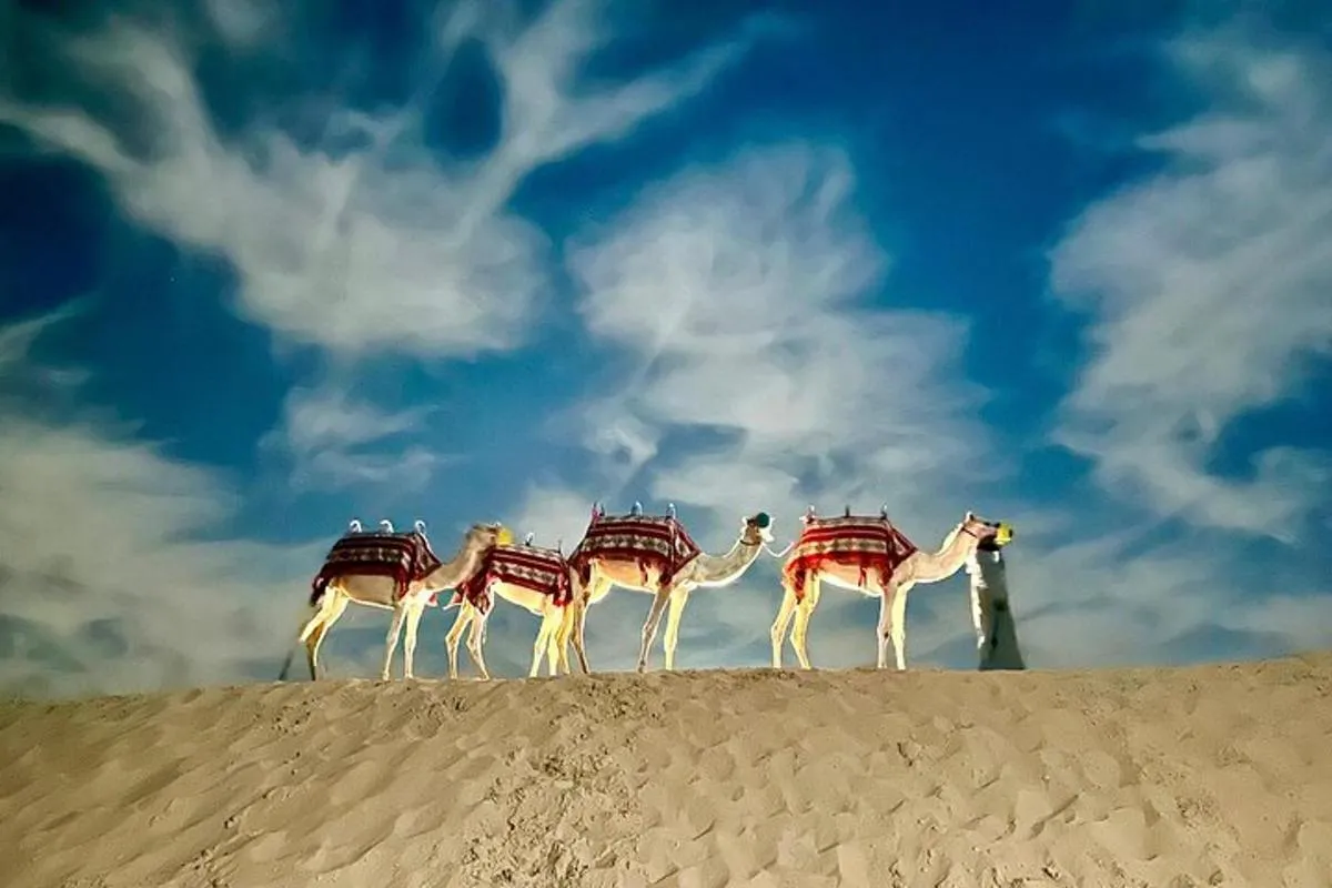 Image 6 of Abu Dhabi: 7-Hours Desert Safari with BBQ, Camel Ride & Sandboarding