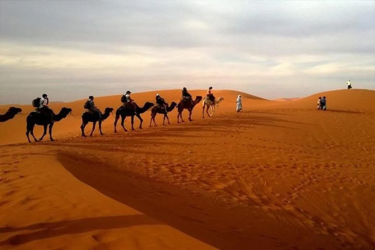 Image 5 of Abu Dhabi City Tour with Desert Safari Adventure