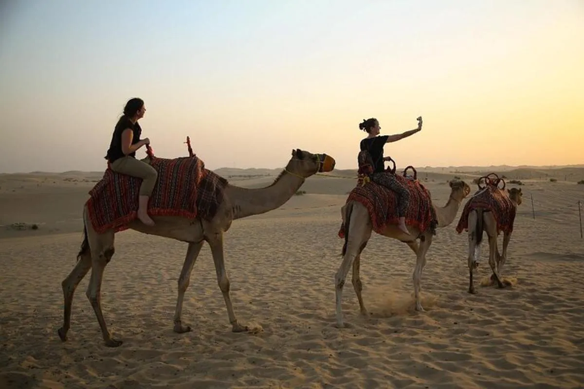 Image 3 of Abu Dhabi Half Day Desert Safari