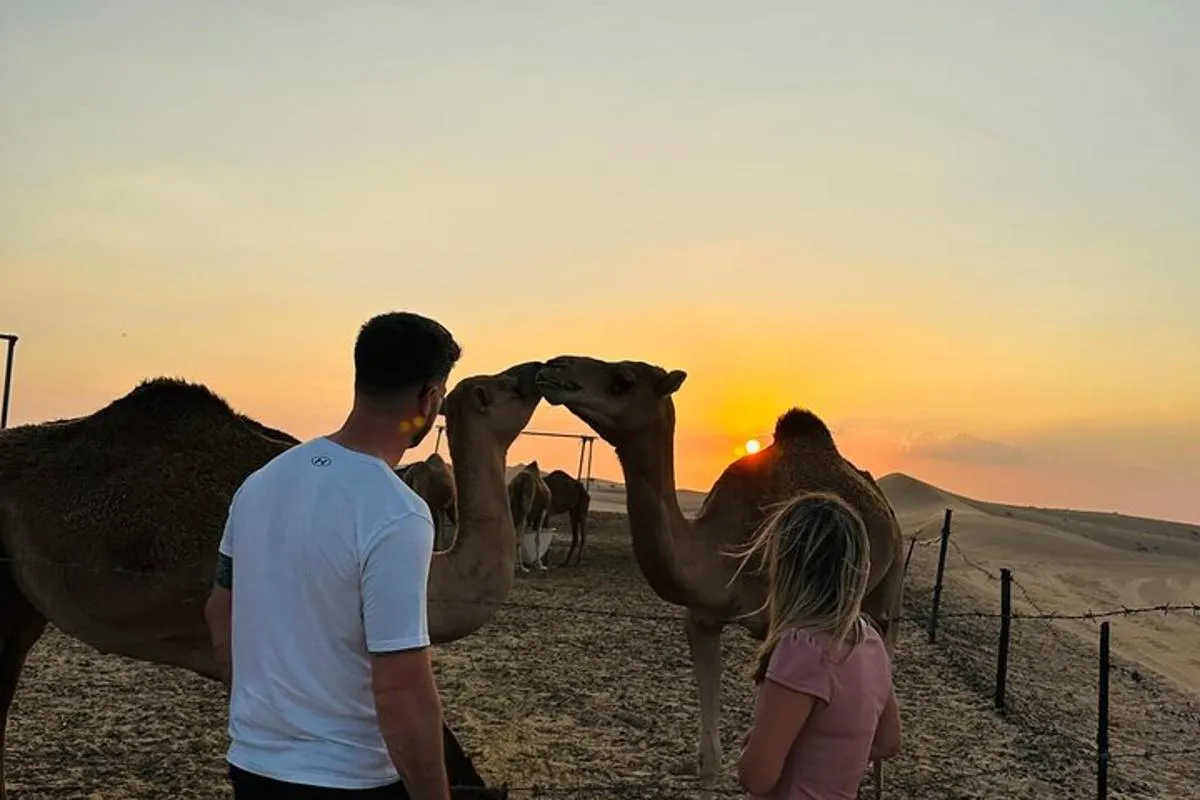 Image 1 of Abu Dhabi: Private Evening Desert Safari with BBQ and Live Shows
