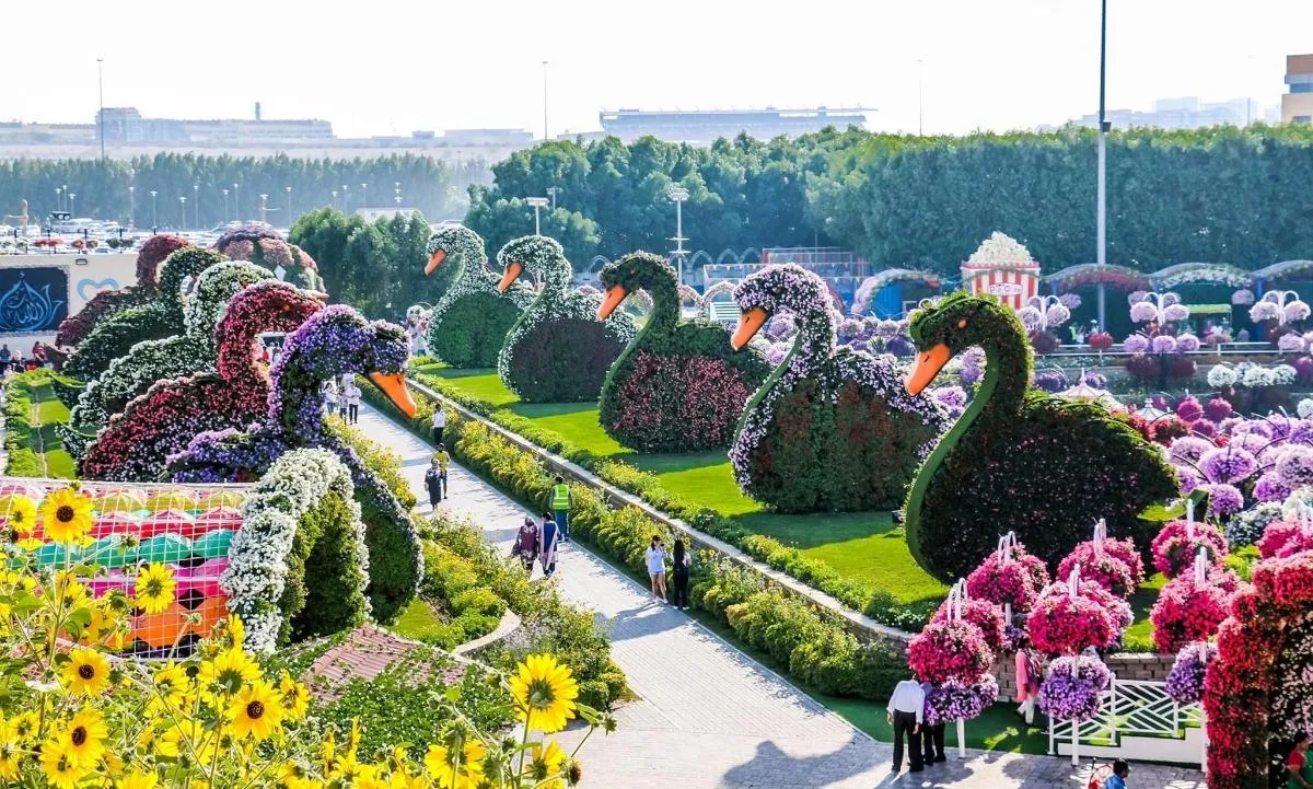 Image 0 of Admission to Dubai Miracle Garden