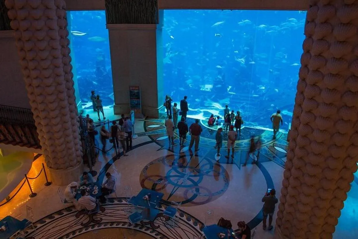 Image 1 of Admission to Lost Chamber Aquarium
