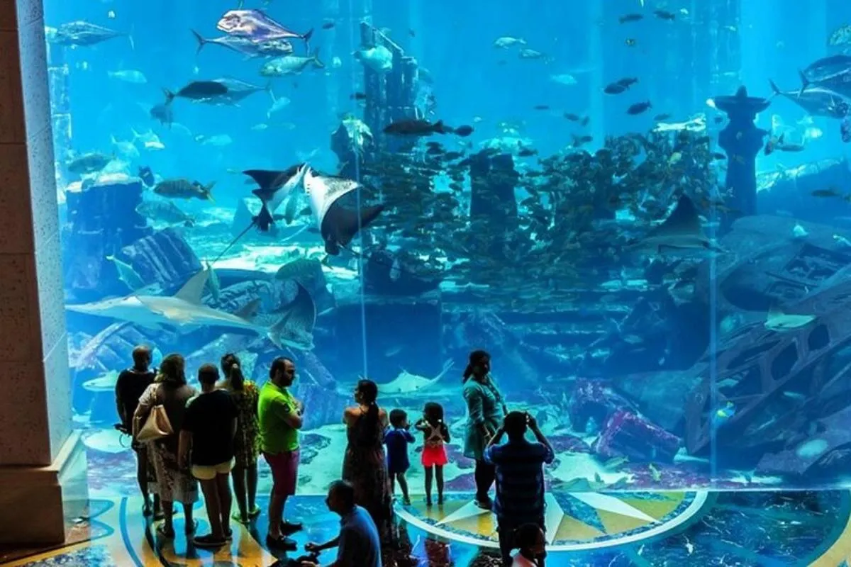 Image 3 of Admission to Lost Chamber Aquarium