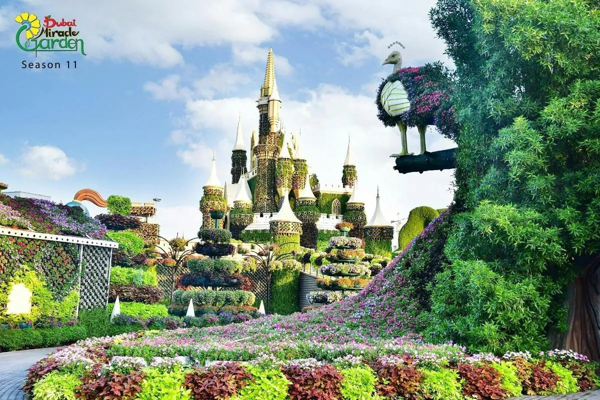 Image 0 of Admission to Miracle Garden
