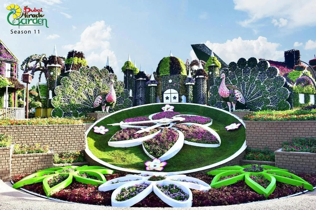 Image 4 of Admission to Miracle Garden