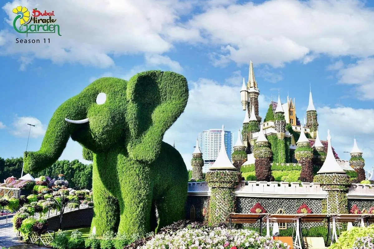Image 5 of Admission to Miracle Garden