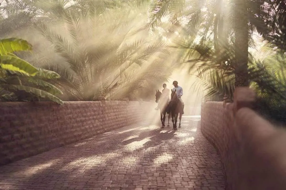 Image 2 of Al Ain City Tour from Dubai