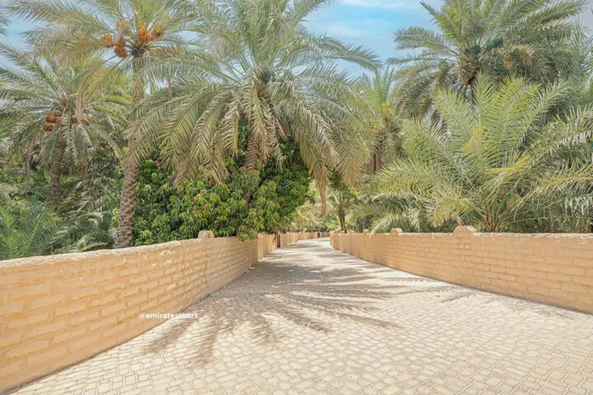 Image 6 of Al Ain Full Day Trip from Abu Dhabi with Lunch