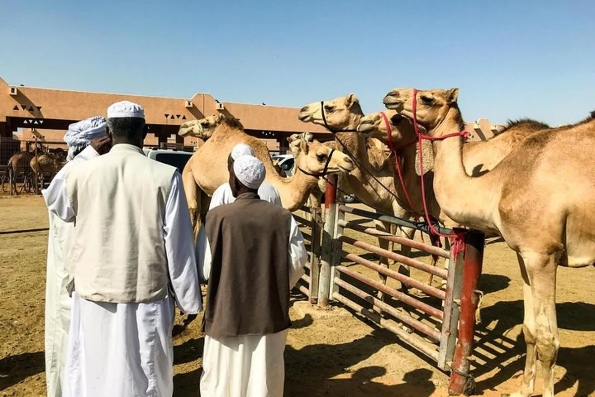 Image 3 of Al Ain Oasis Tour