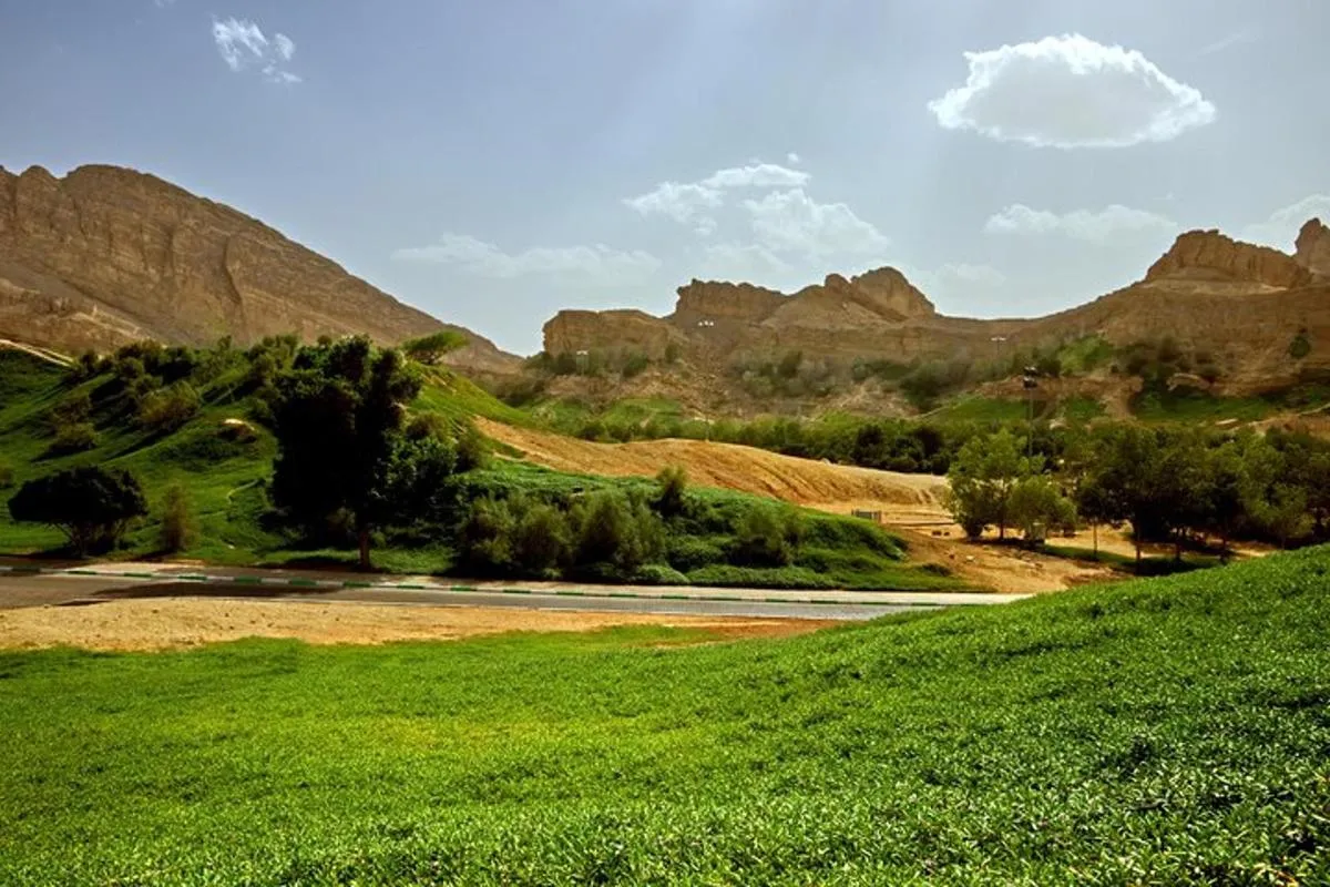 Image 4 of Al Ain Oasis Tour