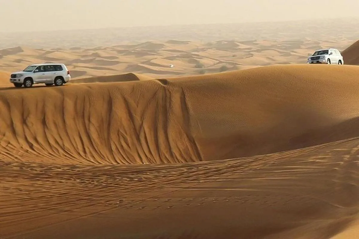 Image 1 of Amazing Abu Dhabi Evening Safari
