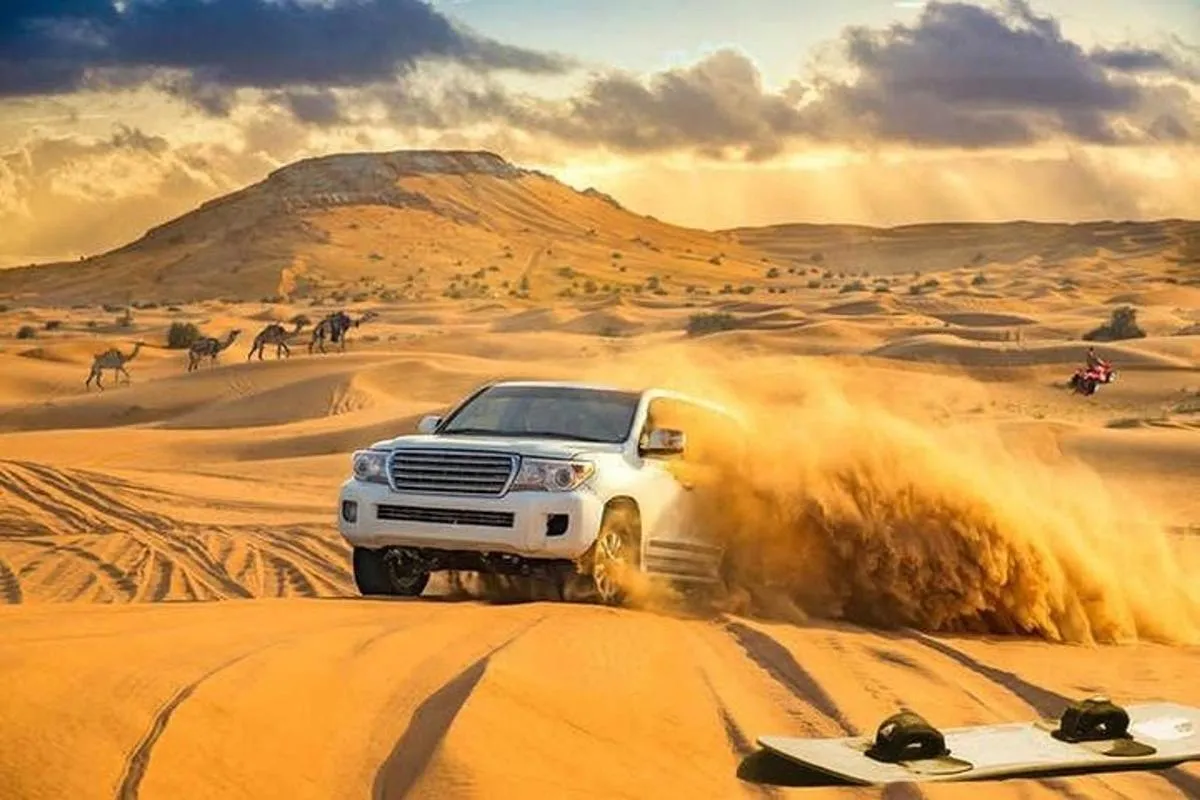 Image 3 of Amazing Abu Dhabi Evening Safari