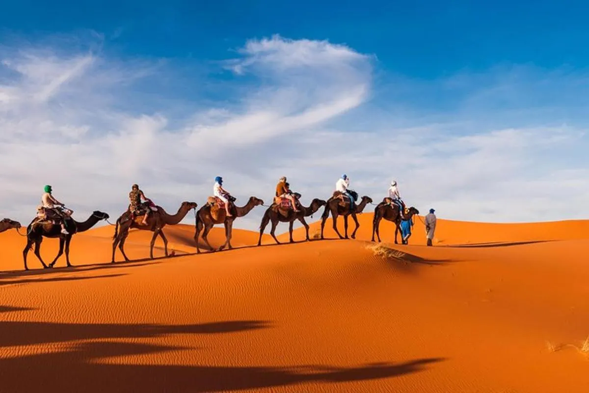 Image 6 of Amazing Abu Dhabi Evening Safari