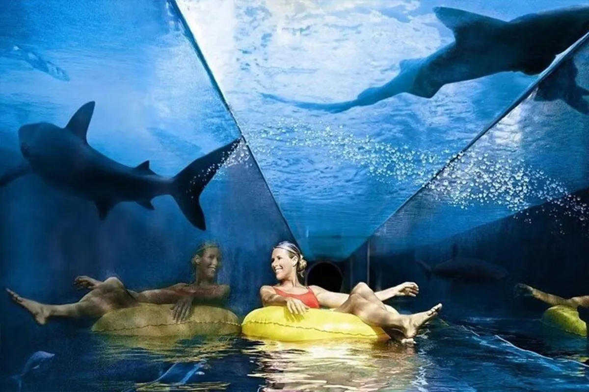Image 6 of Atlantis Aquaventure Waterpark Dubai Ticket