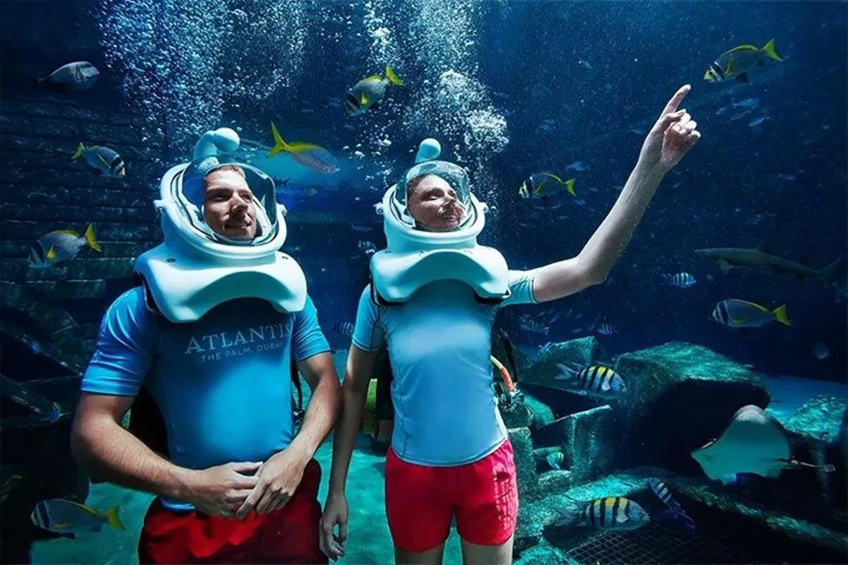Atlantis Lost-Chamber Aquarium Dubai