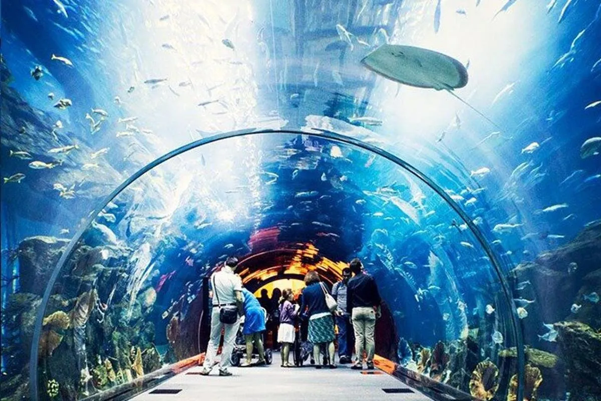 Image 5 of Atlantis Lost-Chamber Aquarium Dubai