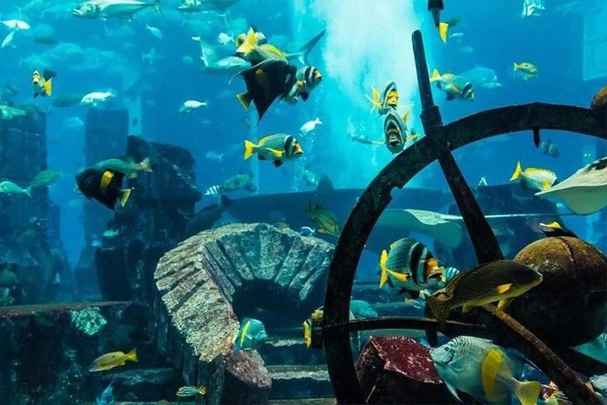 Image 5 of Atlantis Lost Chamber Dubai Tickets