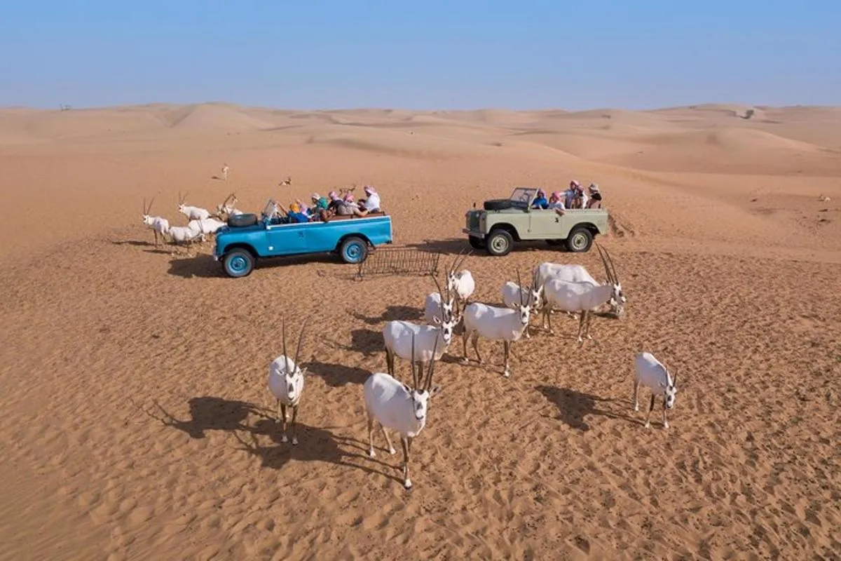 Image 5 of Authentic Safari in Vintage Land Rover with Traditional Dinner