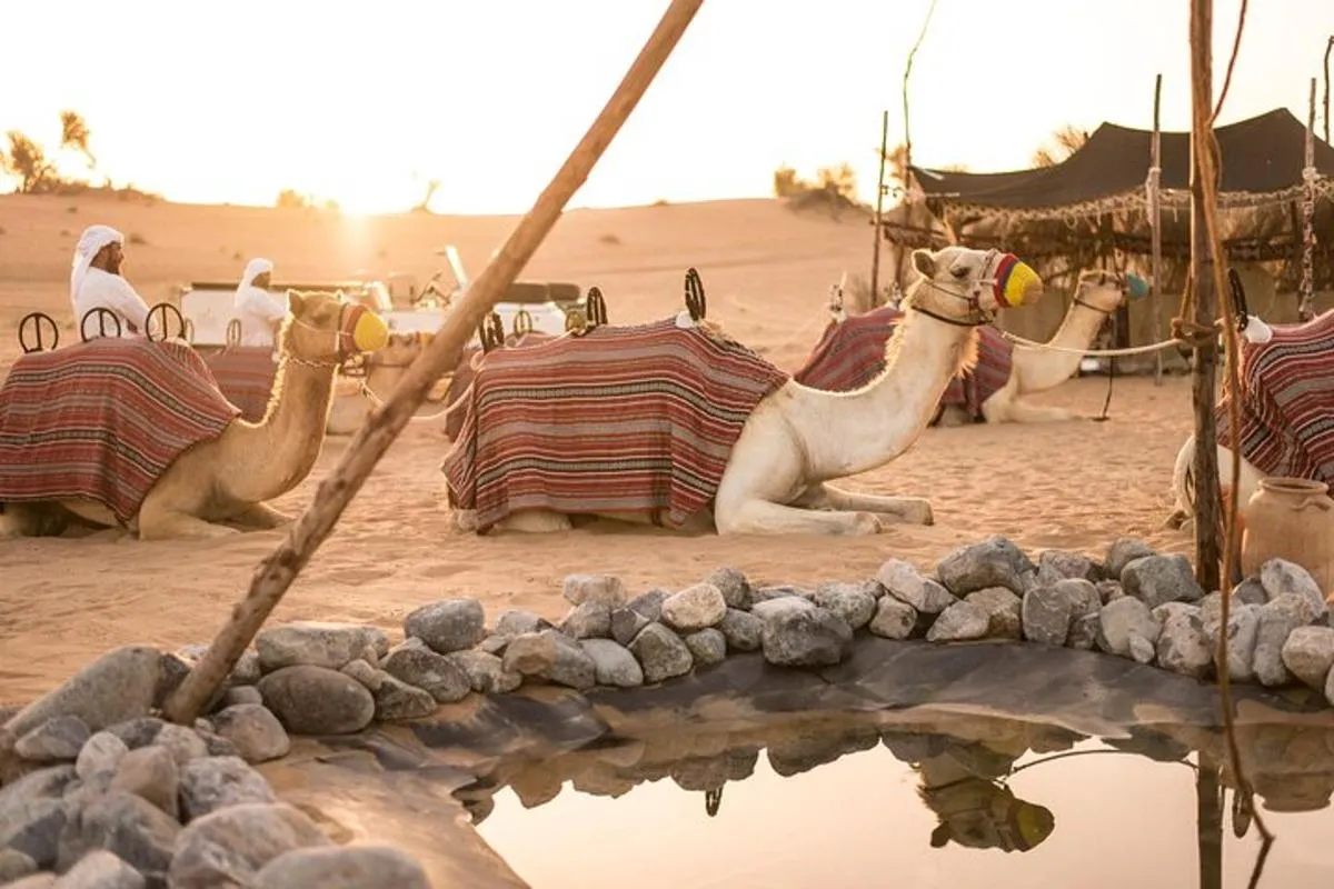Bedouin Culture Safari