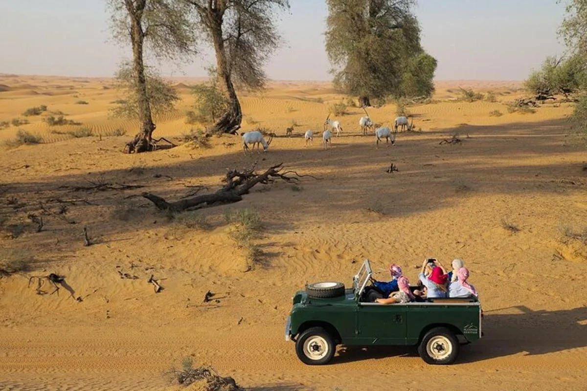 Image 4 of Bedouin Culture Safari