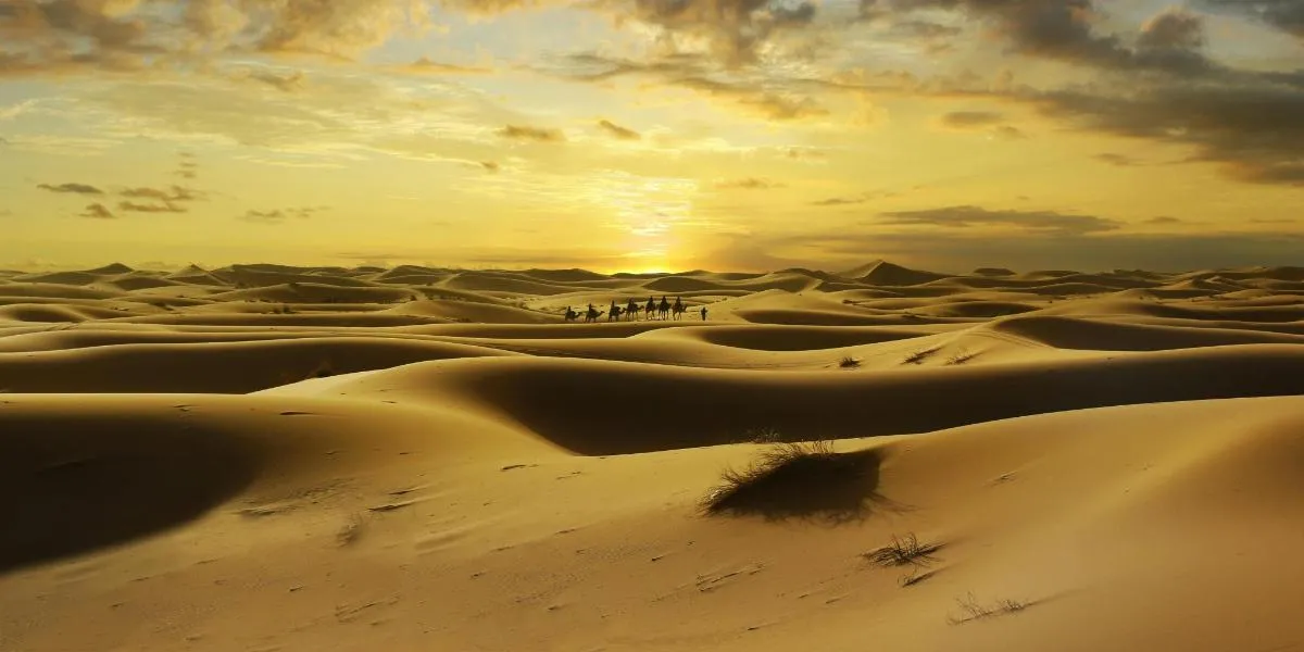 Image 3 of Classic Desert Tour with Dinner