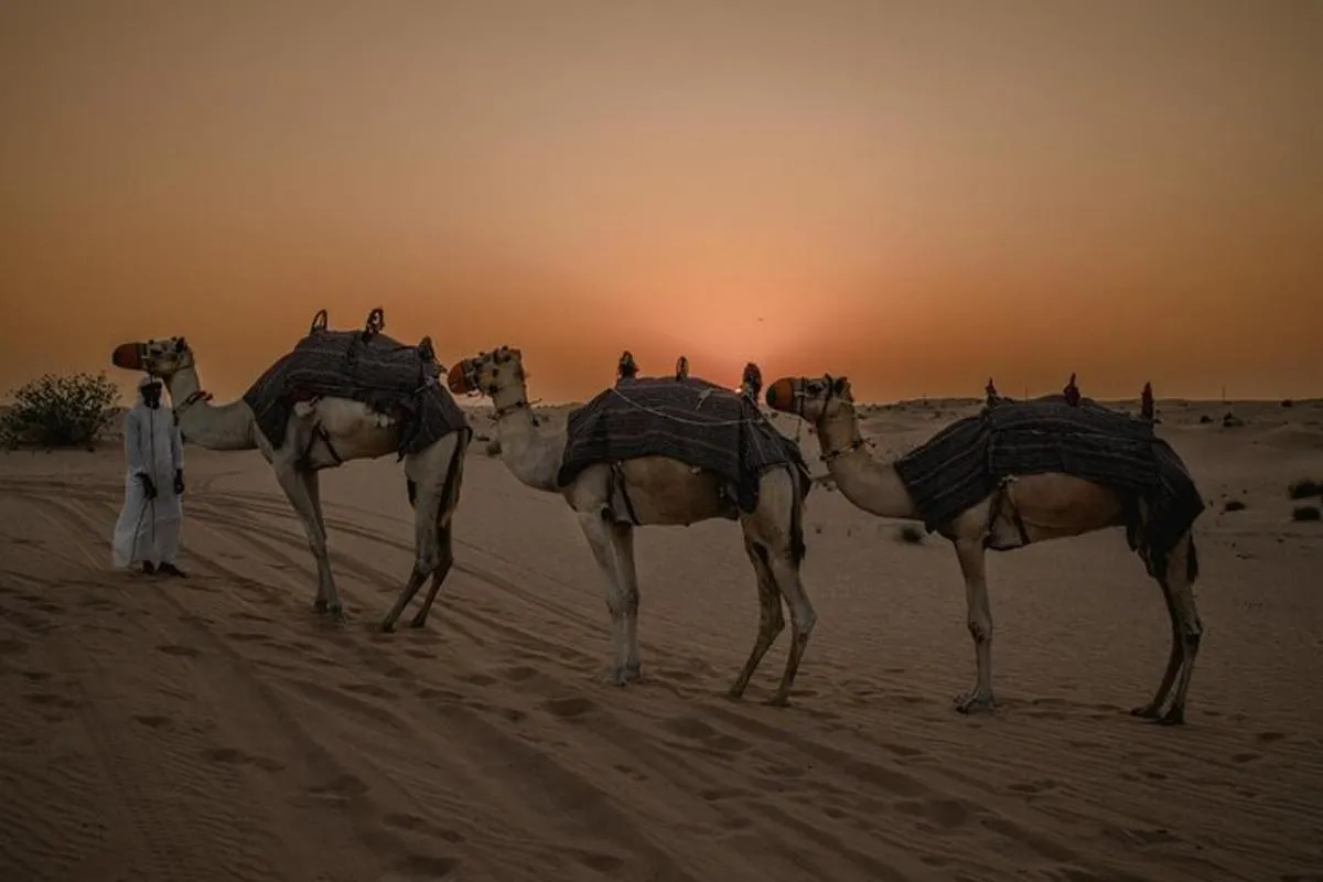 Image 2 of Deluxe Sunset Desert Safari: SandSurfing, Camel Ride & BBQ dinner