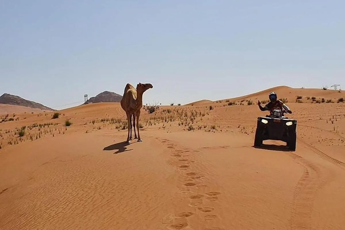 Image 5 of Desert Safari Dubai (PREMIUM VIP)