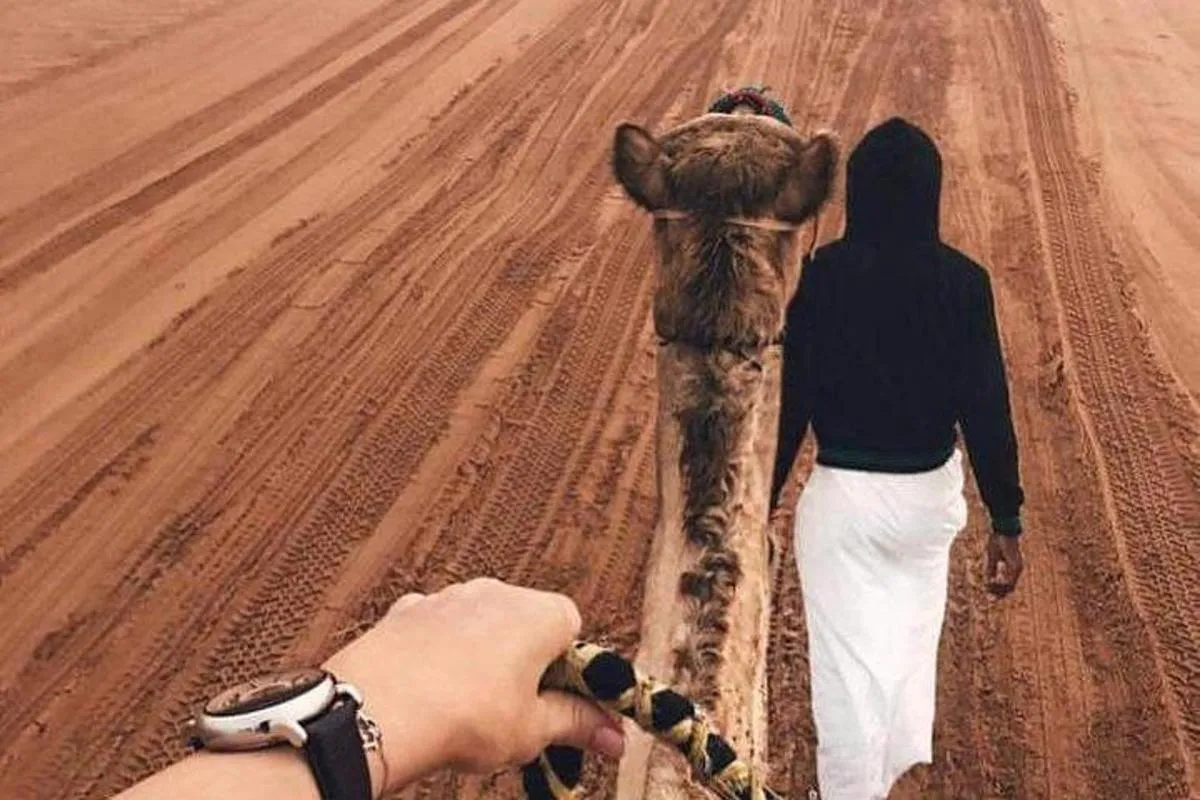 Image 6 of Desert Safari Dubai pickup & Drop off By Land Cruiser