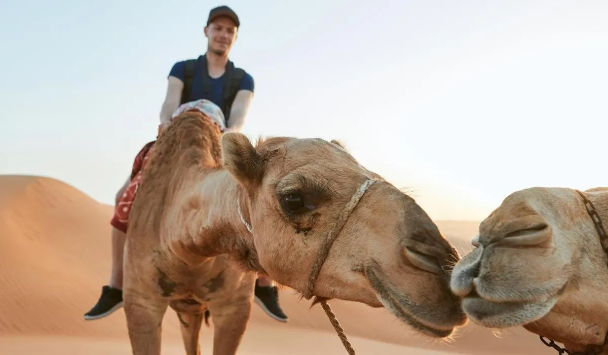 Image 0 of Desert Safari Experience and Palm Jumeirah Visit