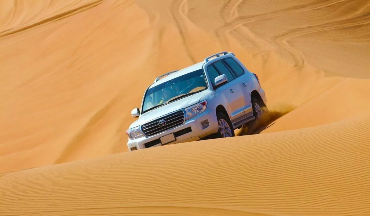 Image 3 of Desert Safari Experience and Palm Jumeirah Visit
