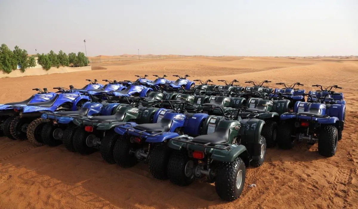 Image 5 of Desert Safari Experience and Palm Jumeirah Visit
