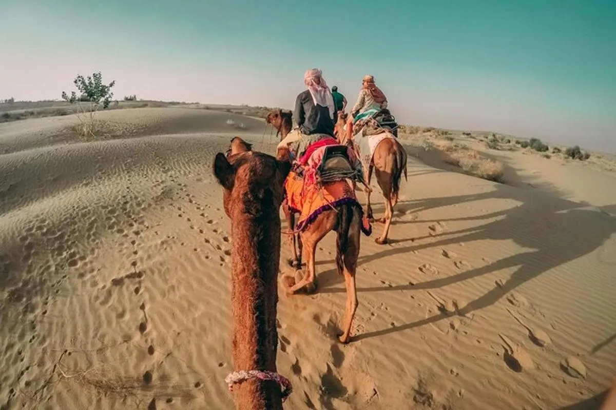 Desert Safari Private Camel Ride & Sandboarding