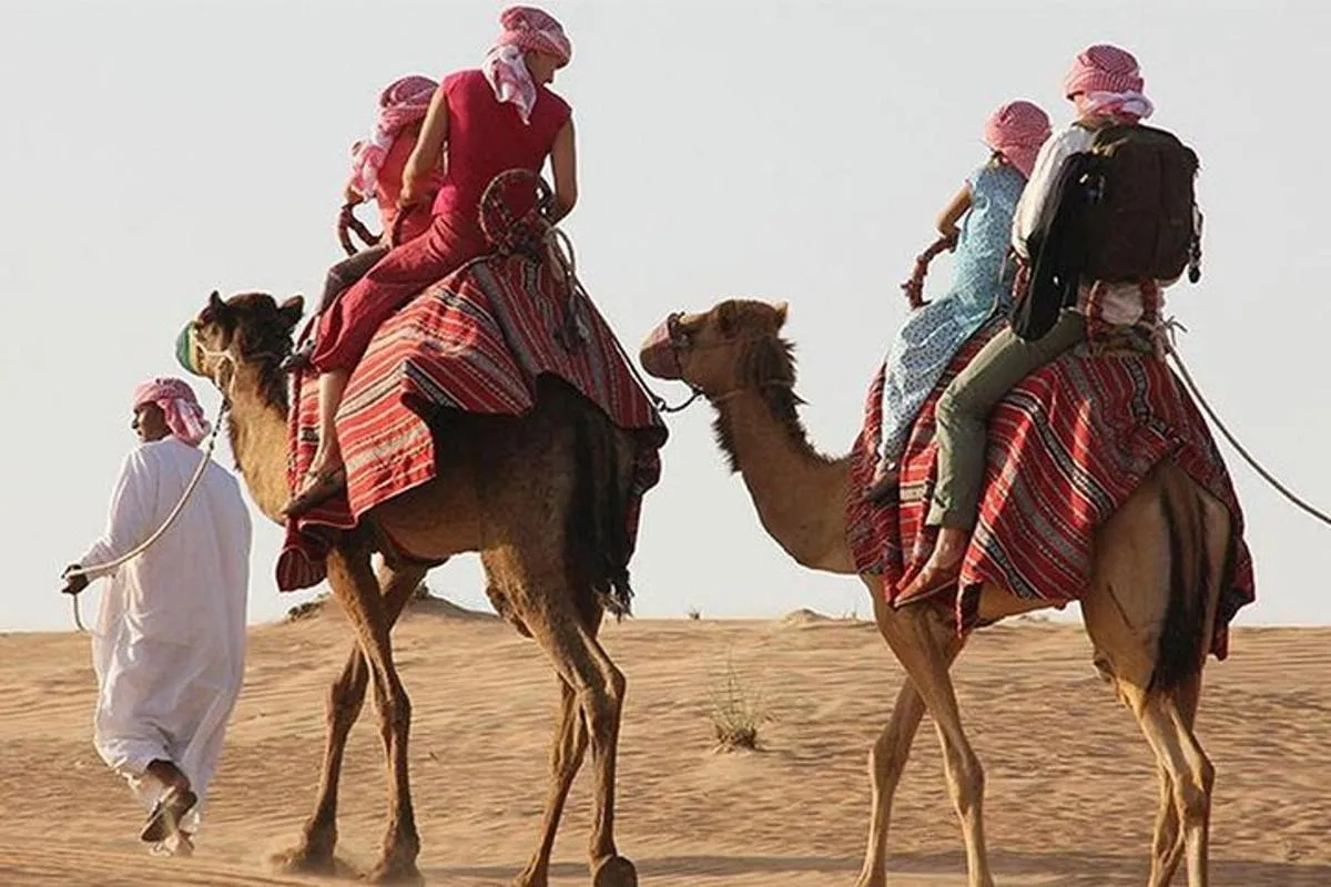 Image 6 of Desert Safari Private Camel Ride & Sandboarding