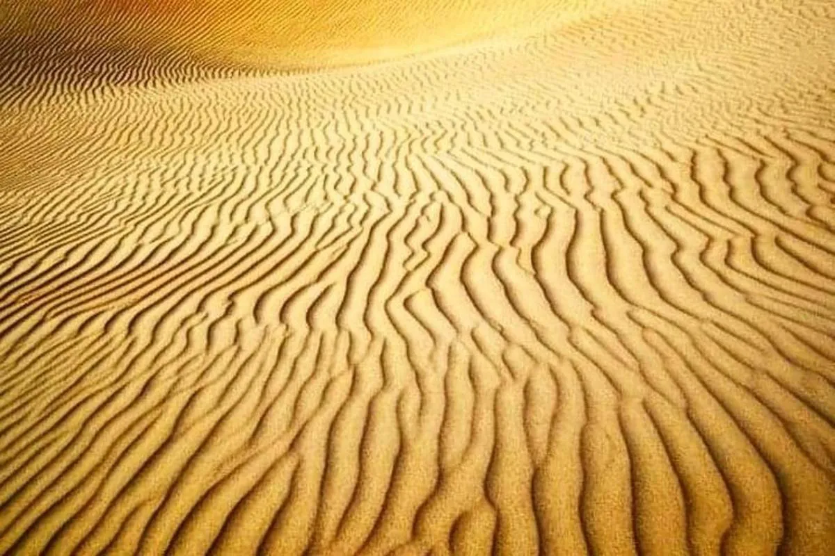 Image 2 of Desert Safari Red Dunes with Camel Ride, Sandboard, BBQ and Shows