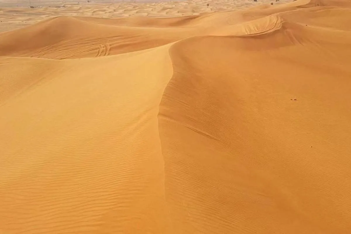 Image 3 of Desert Safari Red Dunes with Camel Ride, Sandboard, BBQ and Shows
