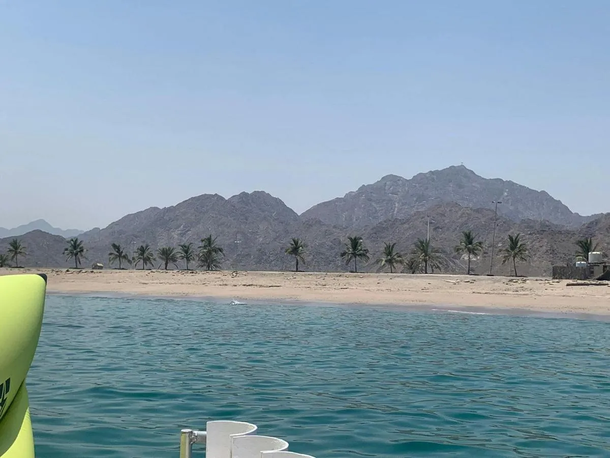 Image 4 of Dhow Cruise in Dibba Al Fujairah
