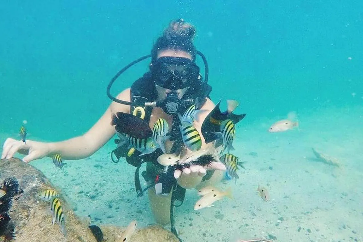 Image 1 of Discover Scuba Diving in Dubai