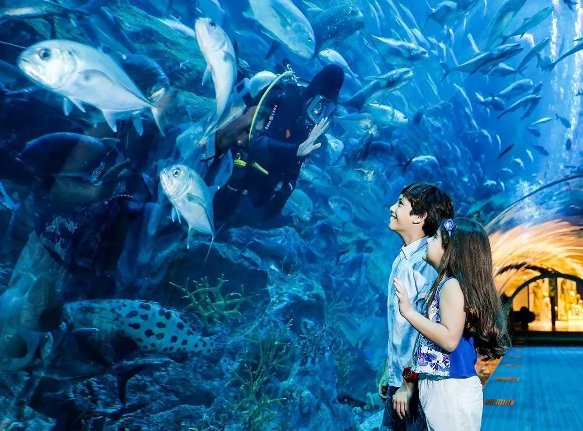 Image 4 of Dubai Aquarium & Two Burj Khalifa Floors Admission