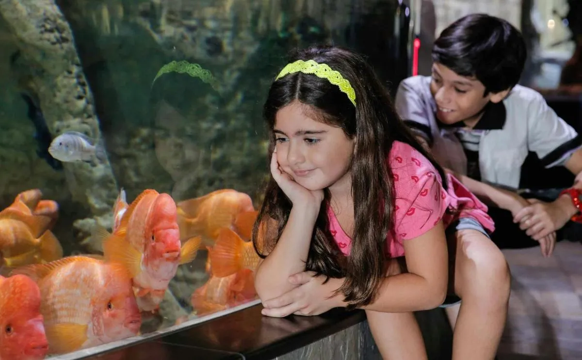 Image 5 of Dubai Aquarium & Two Burj Khalifa Floors Admission