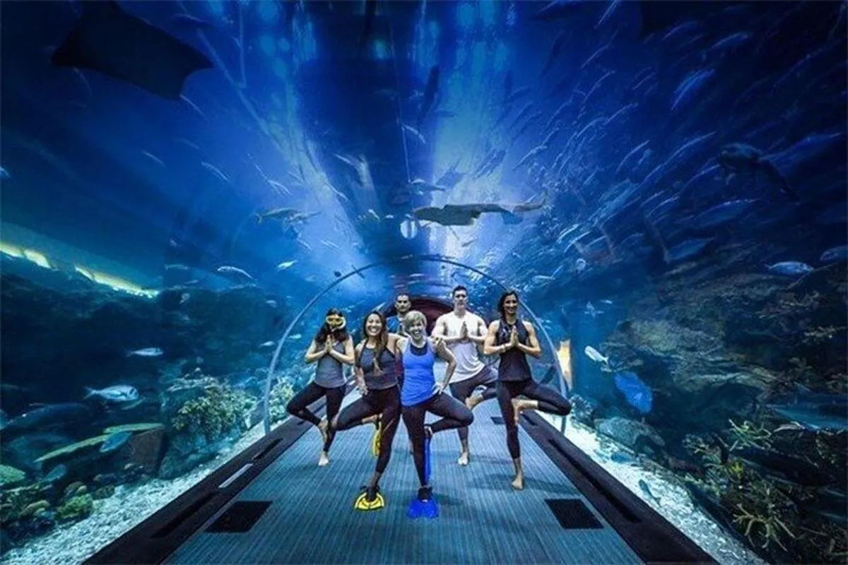 Image 3 of Dubai Aquarium and Underwater Zoo Admission Ticket
