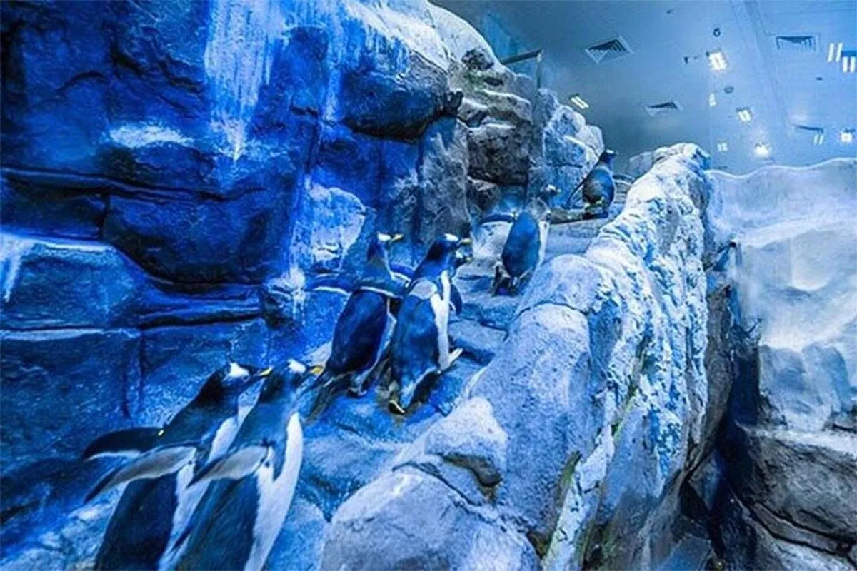 Image 5 of Dubai Aquarium and Underwater Zoo Admission Ticket