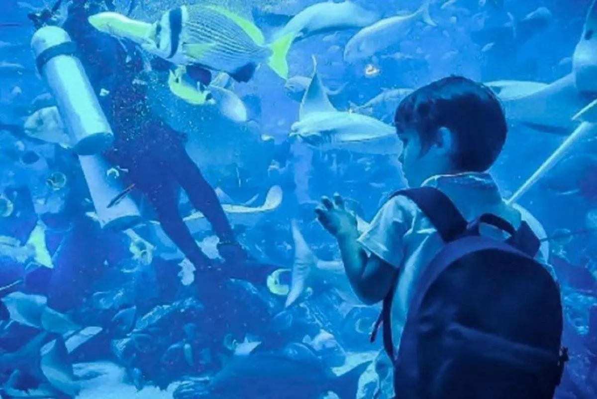 Image 0 of Dubai Aquarium and Underwater Zoo Explorer Tickets