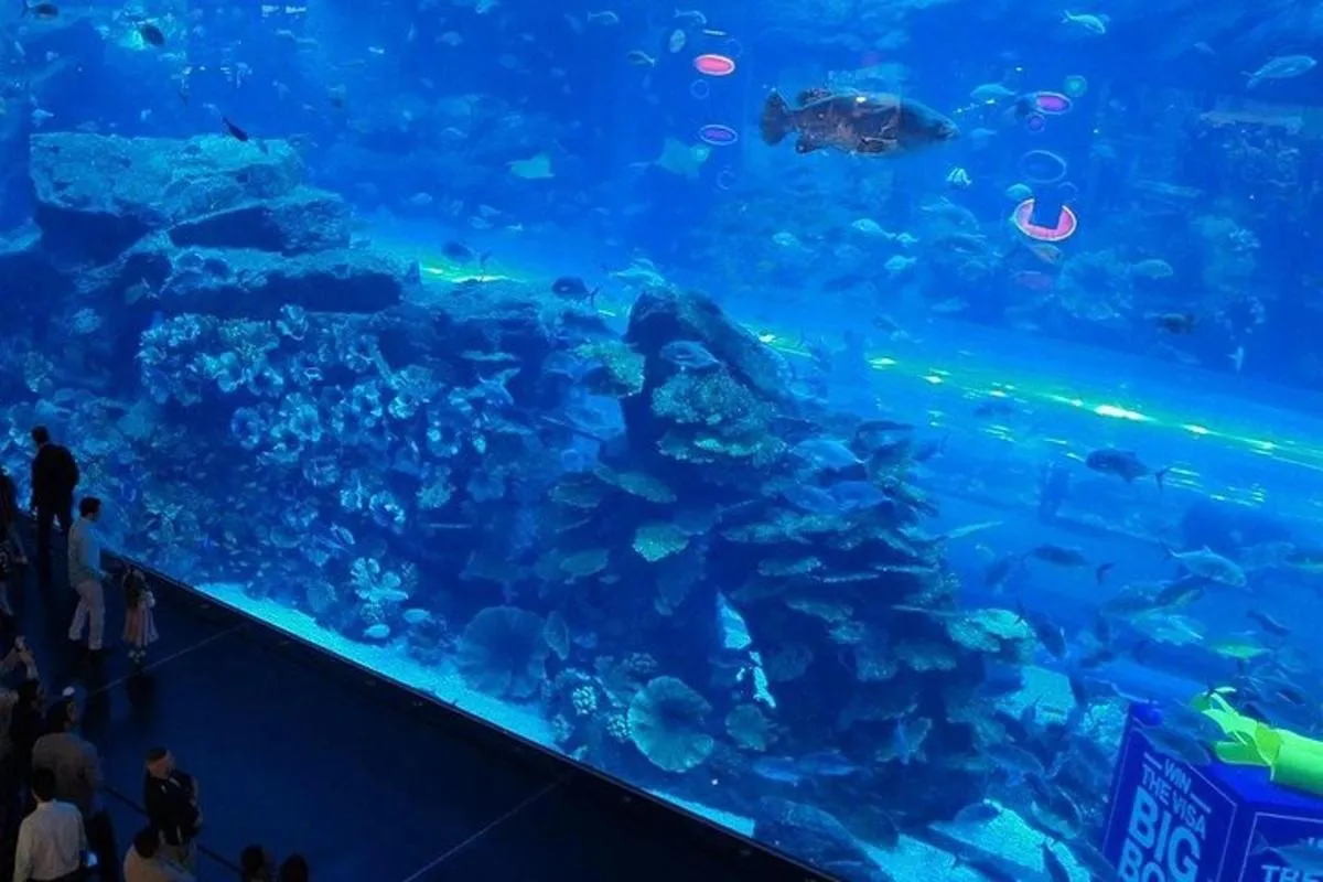 Image 1 of Dubai Aquarium and Underwater Zoo Explorer Tickets