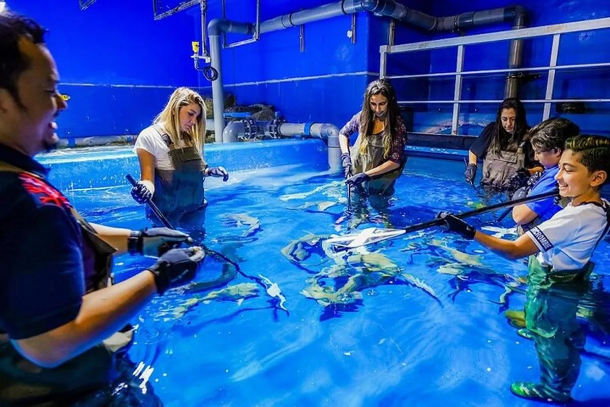 Image 2 of Dubai Aquarium and Underwater Zoo Explorer Tickets