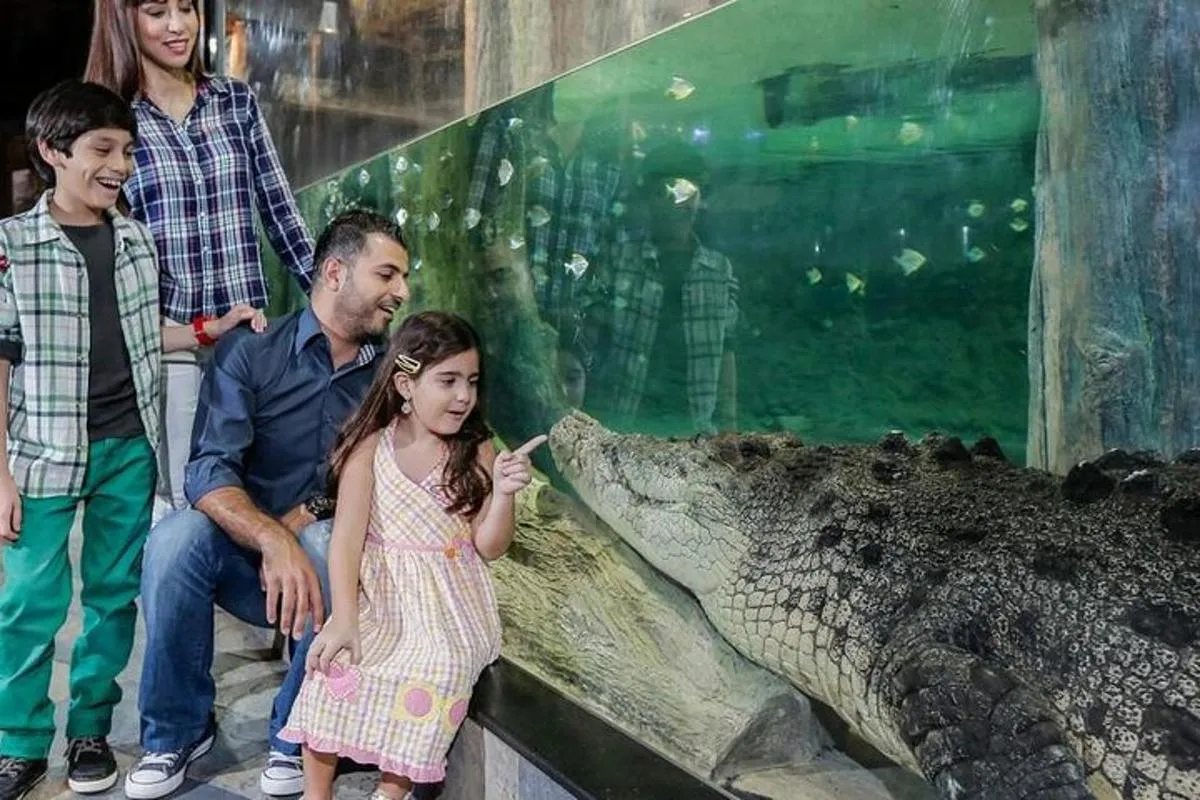 Image 3 of Dubai Aquarium and Underwater Zoo Explorer Tickets