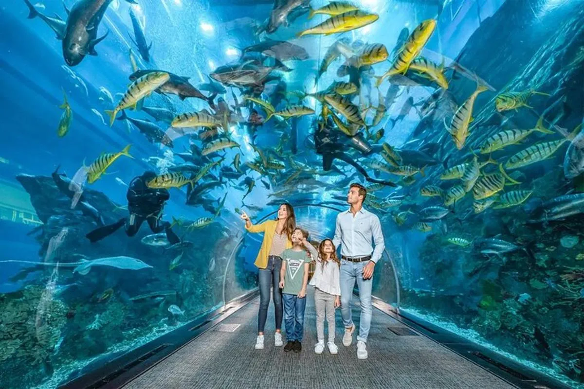 Image 6 of Dubai Aquarium and Underwater Zoo Explorer Tickets